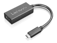 Lenovo Videoadapter 24cm Sort