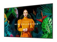 Samsung QBC Series QB43C 43' 4K UHD (2160p)