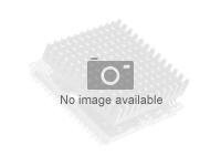 Intel Core i3-14100F 4 kerner LGA 1700 TRAY - u/køler