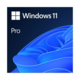 Windows 11 Pro