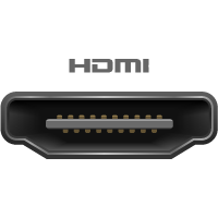 HDMI Male forbindes til denne port/kabelende
