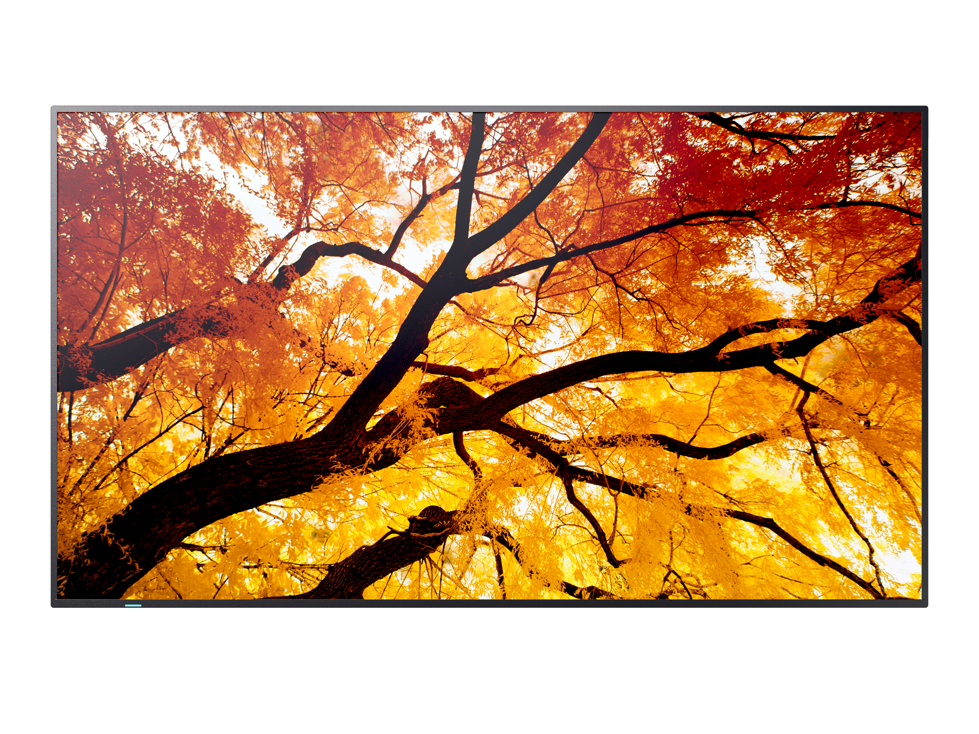 M502 50IN LFD UHD 550CD/M2 D-L